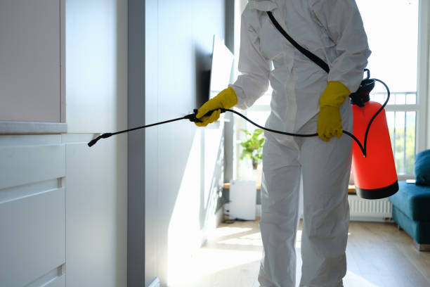 Best Water Damage Restoration  in Hugoton, KS