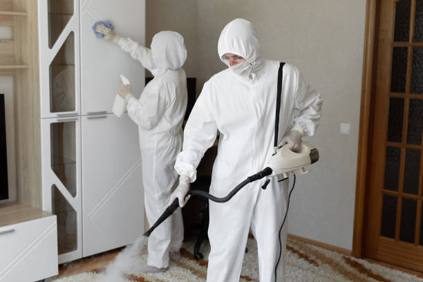 Best Attic Mold Removal  in Hugoton, KS