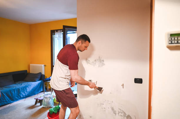 Best Commercial Mold Removal  in Hugoton, KS