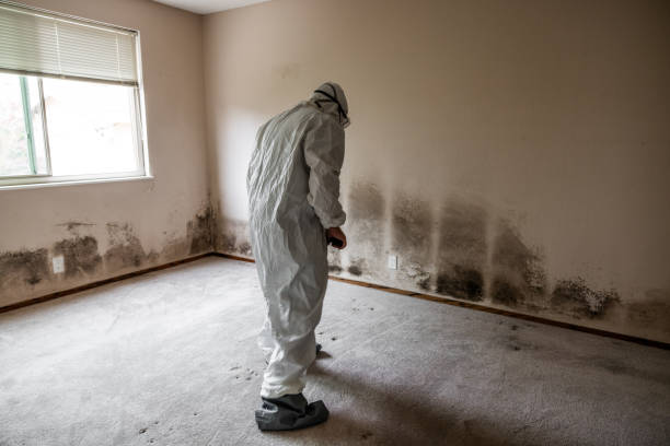 Best Crawl Space Mold Removal  in Hugoton, KS