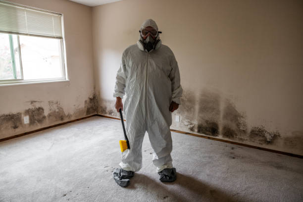 Best Local Mold Removal Service  in Hugoton, KS